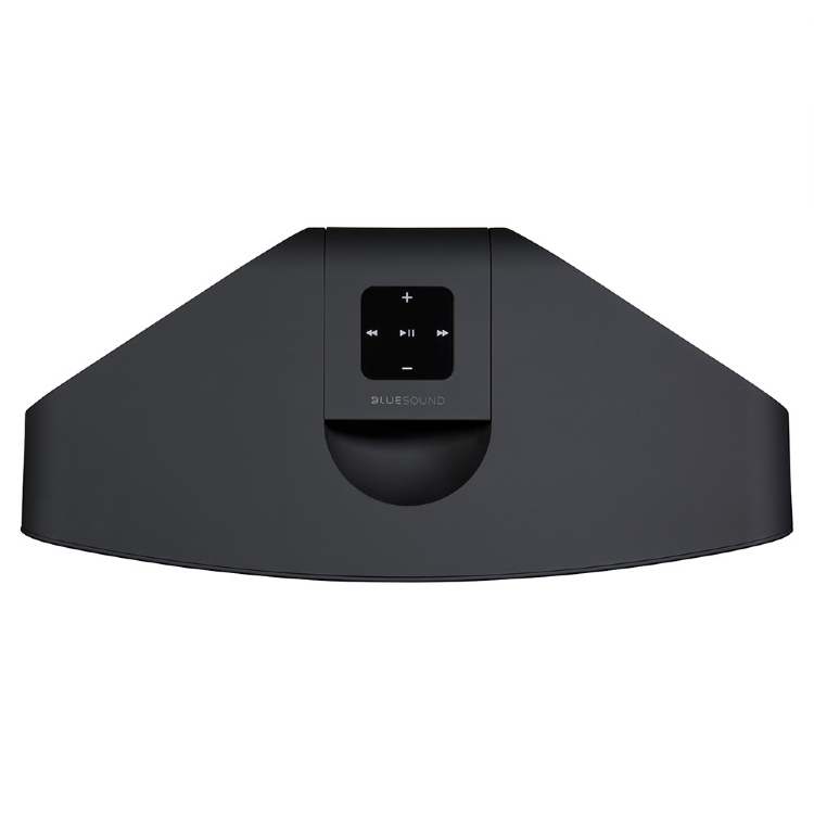 Bluesound PULSE 2i 4