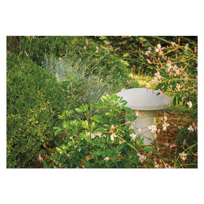 Focal Littora OD SUB 12 4