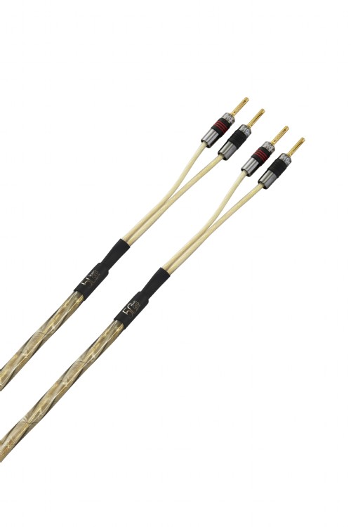 QED Golden Anniversary XT 2