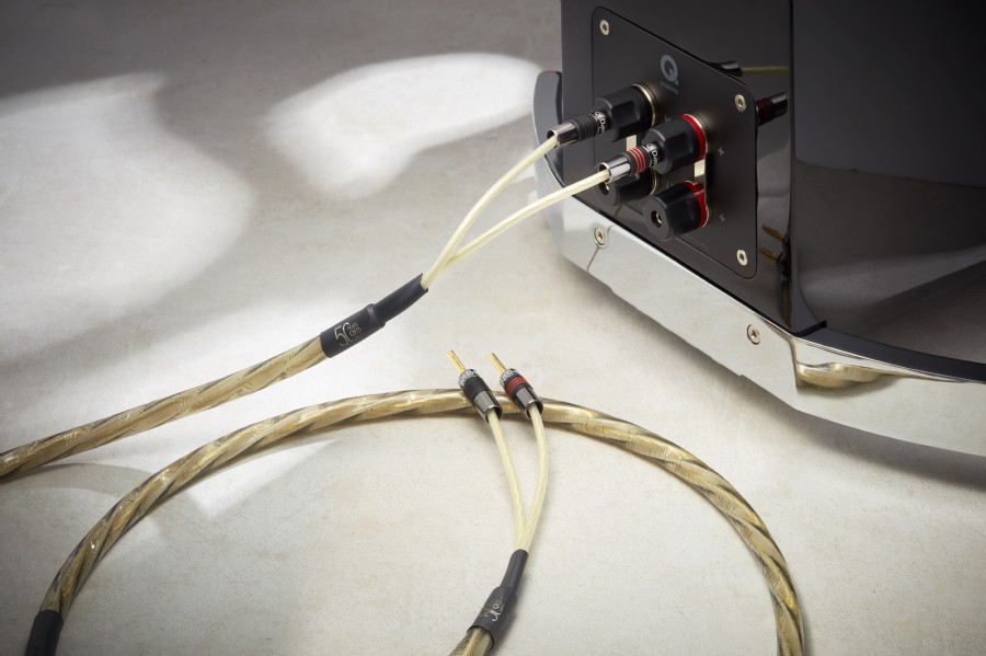 QED Golden Anniversary XT 4