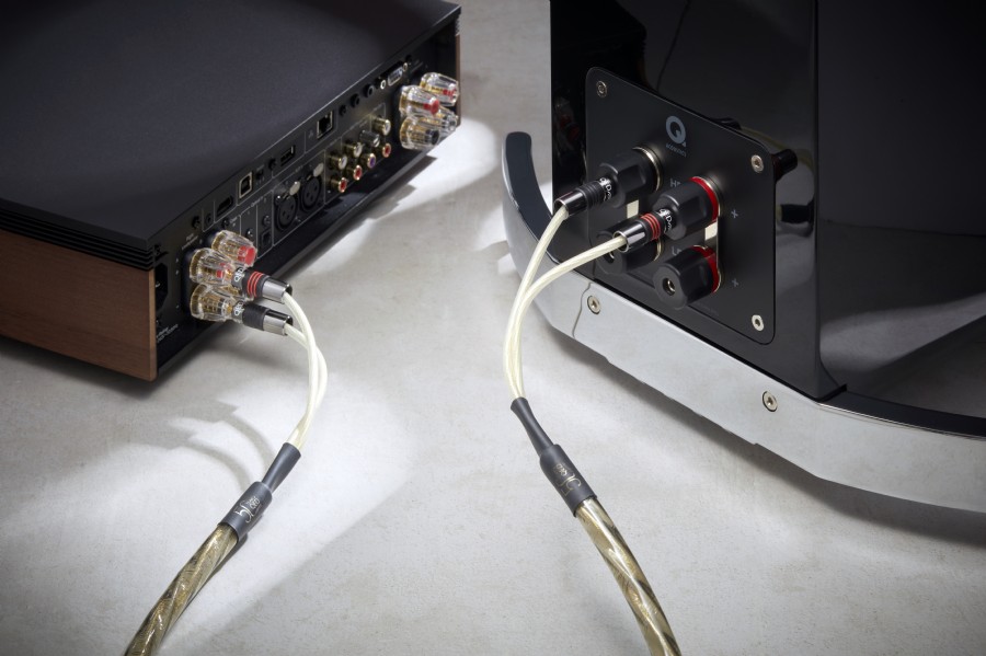 QED Golden Anniversary XT 5