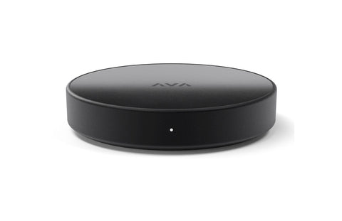 AVA Nano Brain